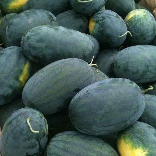 455su吃瓜黑料在线,吃瓜黑料背后的真相与争议