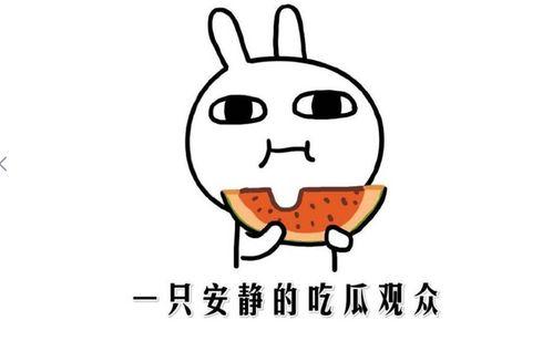 吃瓜事件黑料,揭秘娱乐圈黑料背后的真相